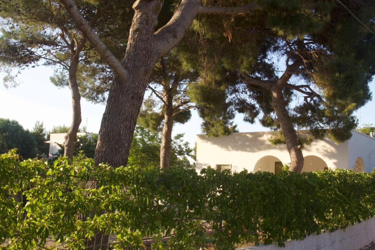 Villa Lucia مارودجو المظهر الخارجي الصورة