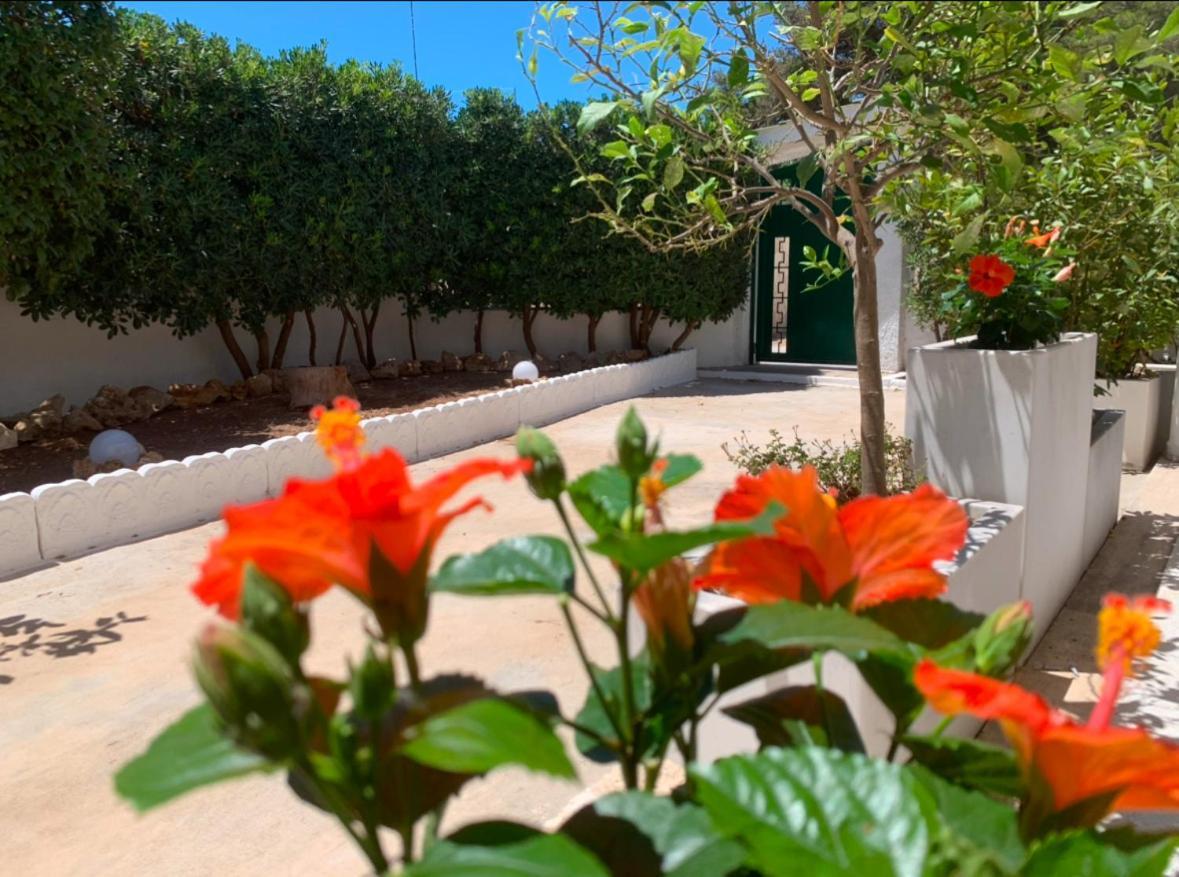 Villa Lucia مارودجو المظهر الخارجي الصورة